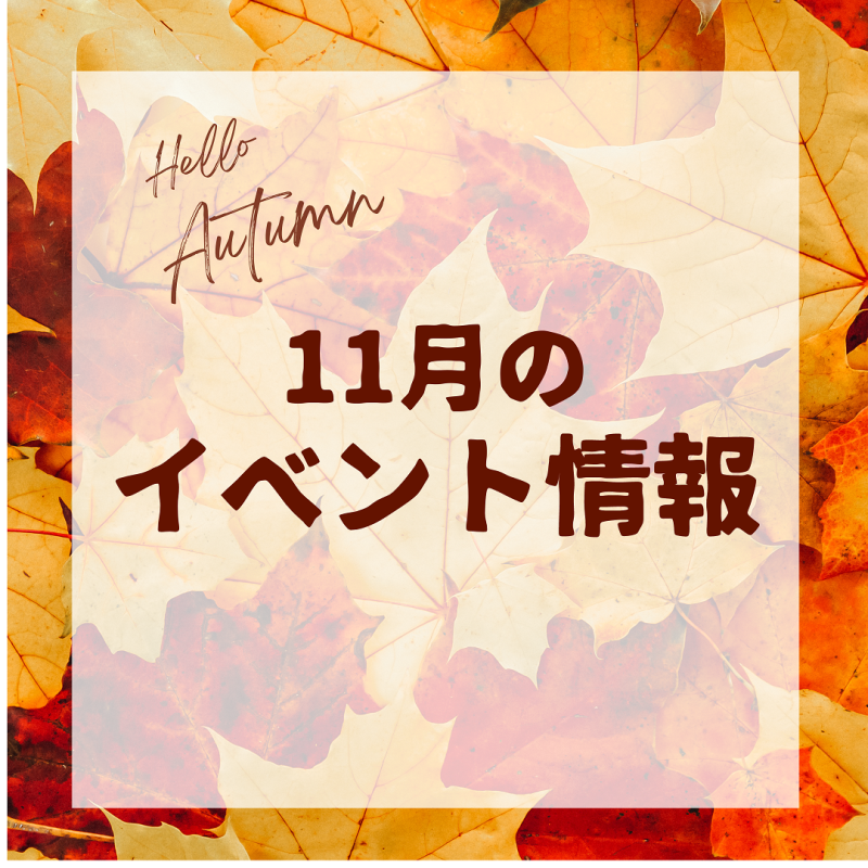 11月のイベント情報