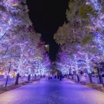 イルミネーションがひときわ輝く季節です。人恋しくなってくるイメージです。