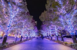 イルミネーションがひときわ輝く季節です。人恋しくなってくるイメージです。