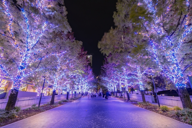 イルミネーションがひときわ輝く季節です。人恋しくなってくるイメージです。